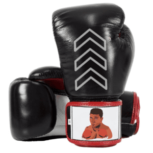 Customized Boxing Gloves
